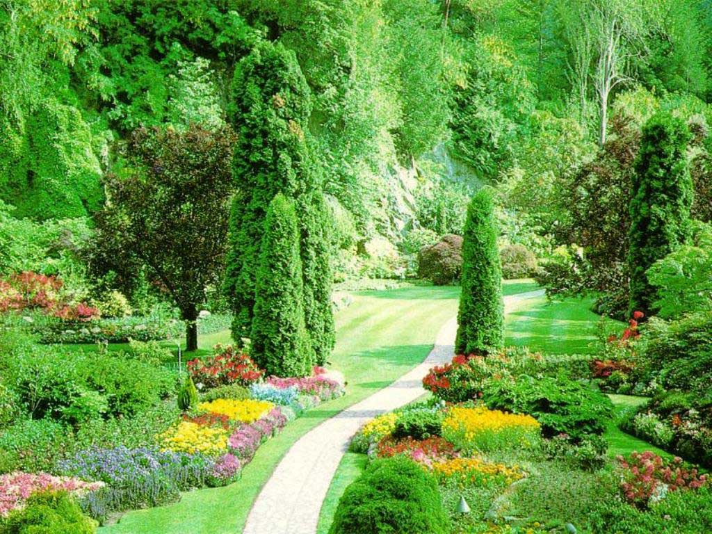 Home Nature