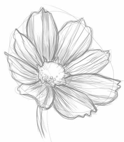 Test 3545